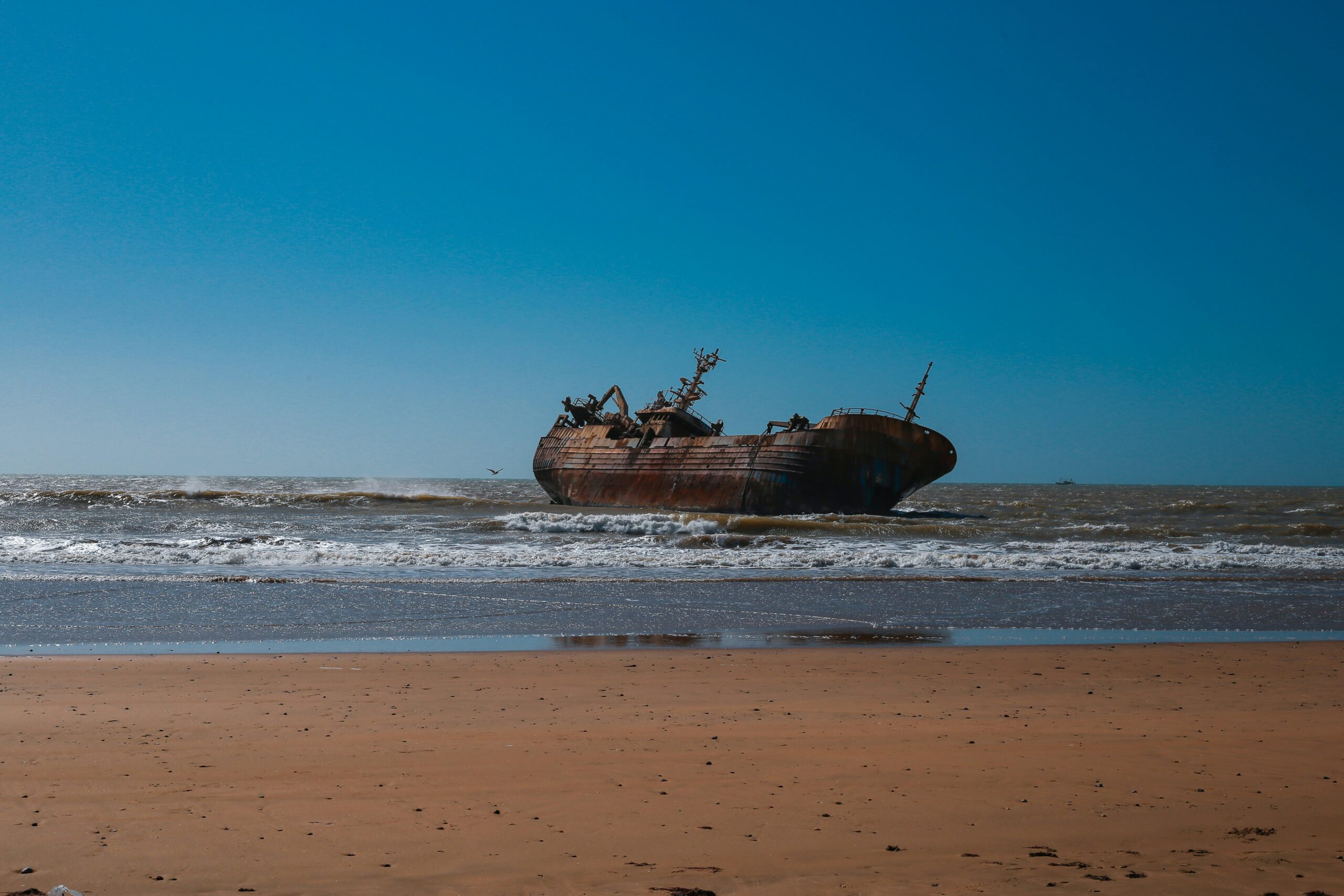 li-xueyi-MCBL0B2-720-unsplash